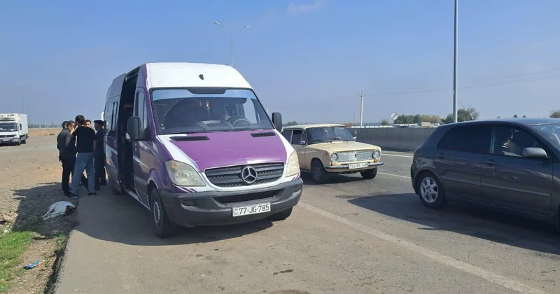 В село Сеидбейли Ходжалинского района вернулись еще 36 человек