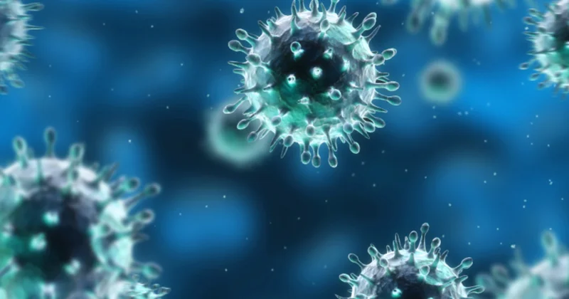 Mütəxəssis: Xəstəlik ocaqlarında sanitar gigiyenik və əksepidemik tədbirlər aparılır