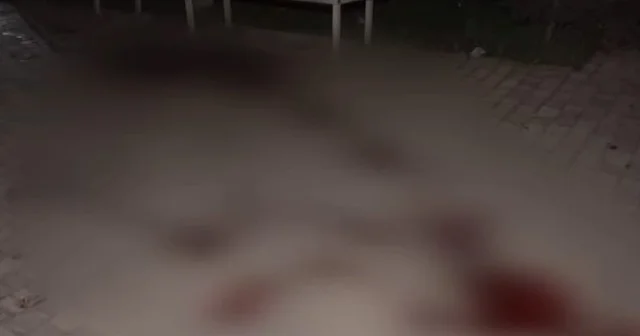 15 yaşlı yeniyetmənin qətlinin təfərrüatı VİDEO