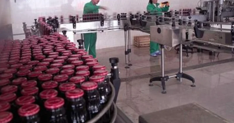 В Гёйчае опечатали завод AzNar: сотни людей остались без работы, а в садах гниёт урожай наши проблемы