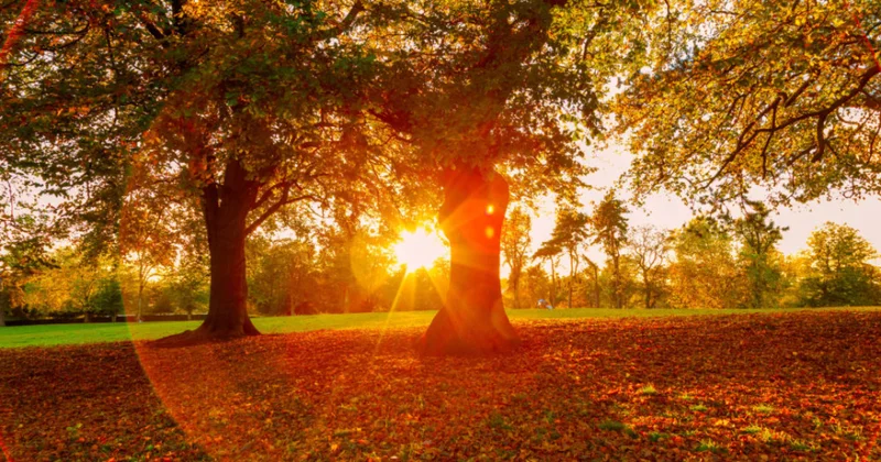 Sabah hava əsasən yağmursuz keçəcək