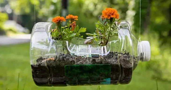 Plastik şüşələri atmayın: Gözəllik yaradın!