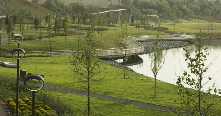 Состояние воздуха в парке рядом с бакинским озером Беюкшор, вызвало обеспокоенность жителей