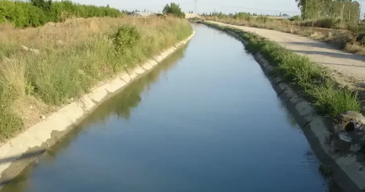 Balakəndə su arxında meyit tapıldı