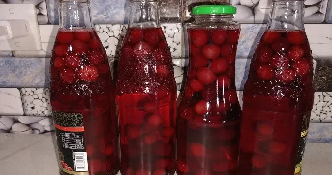 Albalı kompotları niyə turşuyur?