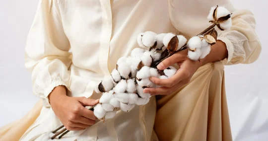 От хлопковых полей до современной одежды