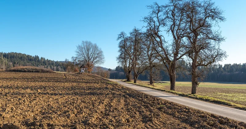 Azərbaycanda məmurların torpağı əllərindən alınacaq