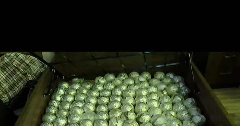 Gürcüstanda dəyəri 1 milyon 200 min dollar təşkil edən narkotik maddə müsadirə olunub