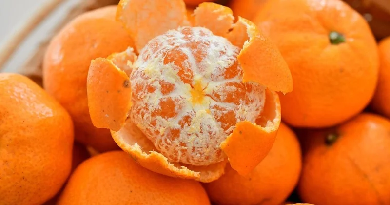 Türkiyə mandarin ixracından 615 milyon dollar qazanıb