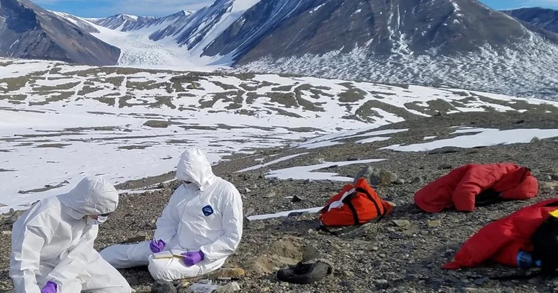 Yeni pandemiya: Vəhşi heyvanlar insan məskənlərinə yaxınlaşacaq