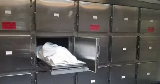 Harvard morq müdiri meyit hissələrini bəzək əşyası kimi satırmış