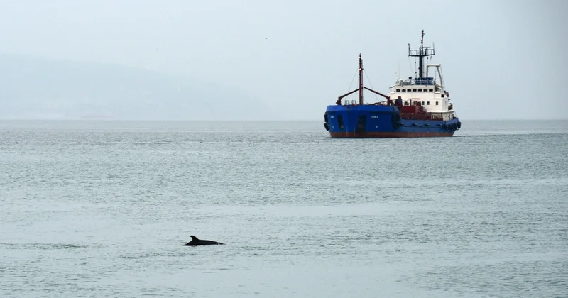 Avropa İttifaqı 41 tankeri Rusiya əleyhinə sanksiyalar siyahısına daxil edib
