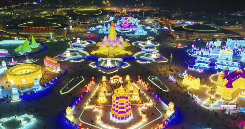 Burada hər şey buzdandır Fotolar Video