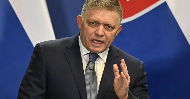 Fitsonun təyyarəsi zədələndi