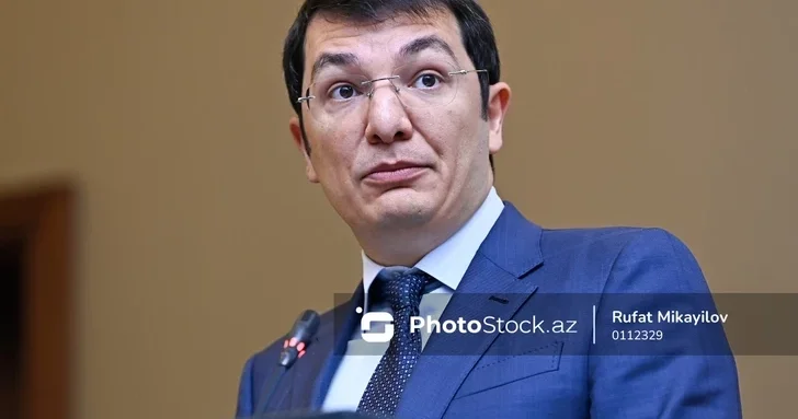 Замминистра: Устойчивость экономики ключевая задача Азербайджана