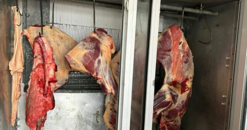 Lənkəranda ət satışı məntəqəsində məhsulun baytarlıq ekspertizasından keçirilmədiyi aşkarlanıb