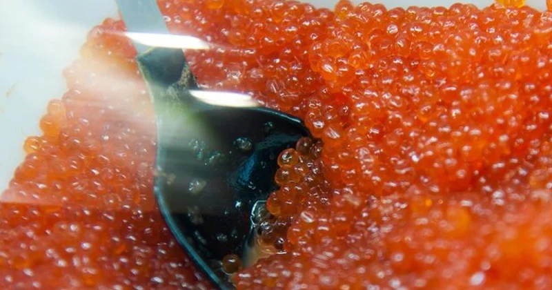 Уиткофф привез Трампу ящик икры из России