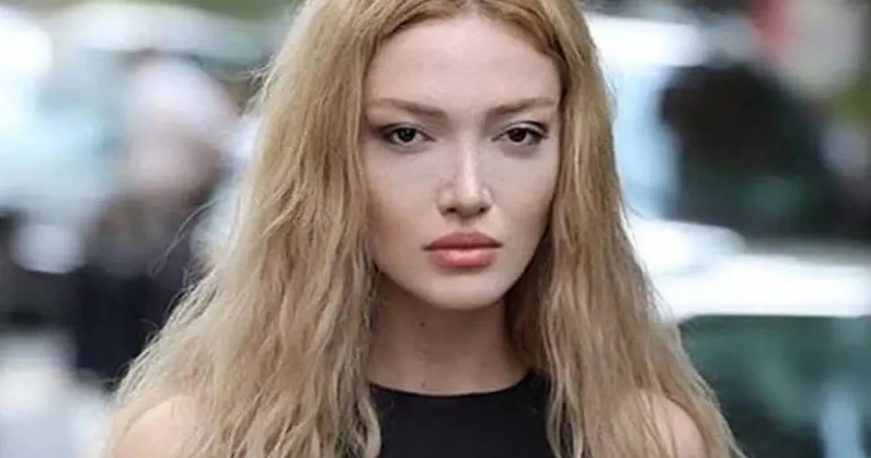 Sərbəst buraxılan Danla Bilic jandarma təşəkkür edib