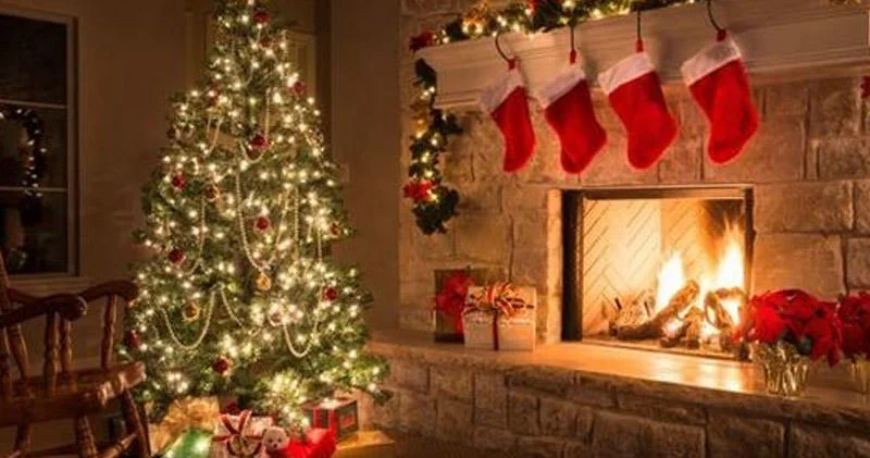 Evdəki yolka sizə problem yarada bilər Həkimdən AÇIQLAMA