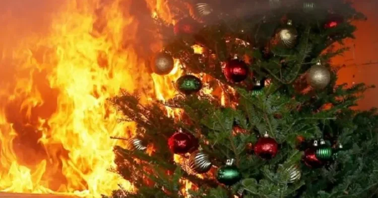 Yeni il şənliklərində bu qaydalara əməl edin! VİDEO