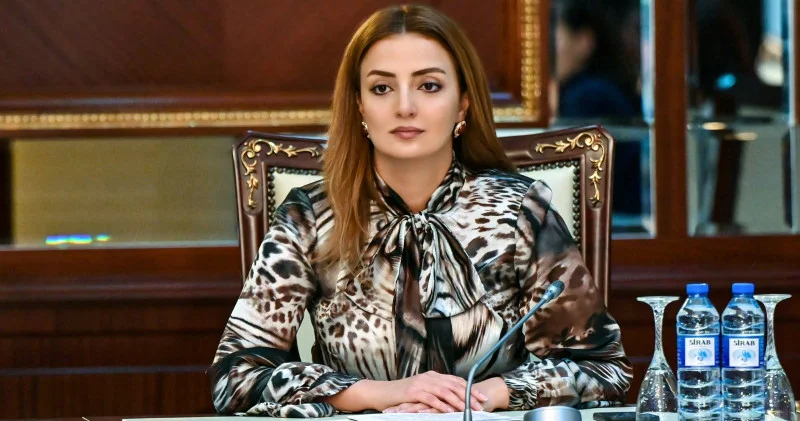 “Əmək Məcəlləsinə edilən dəyişikliklər sosialyönümlü hüquqi tənzimləmələrin tətbiqini nəzərdə tutur”