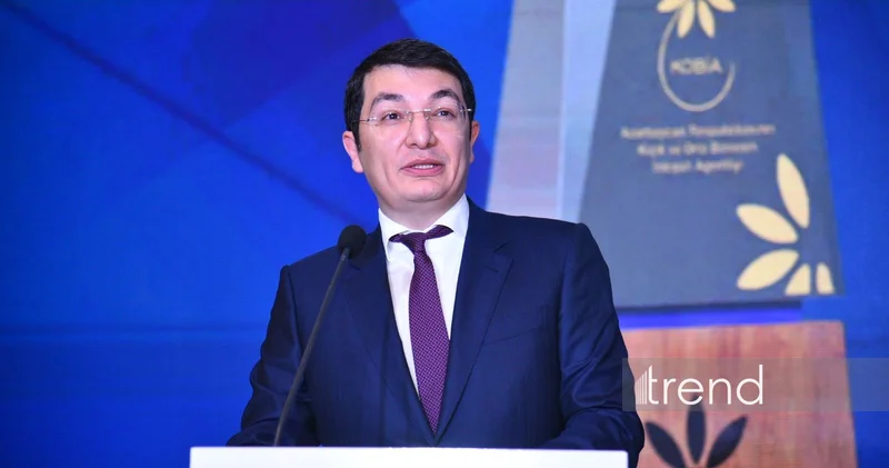 С начала года более 70% промпроизводства в Азербайджана пришлось на долю частного сектора