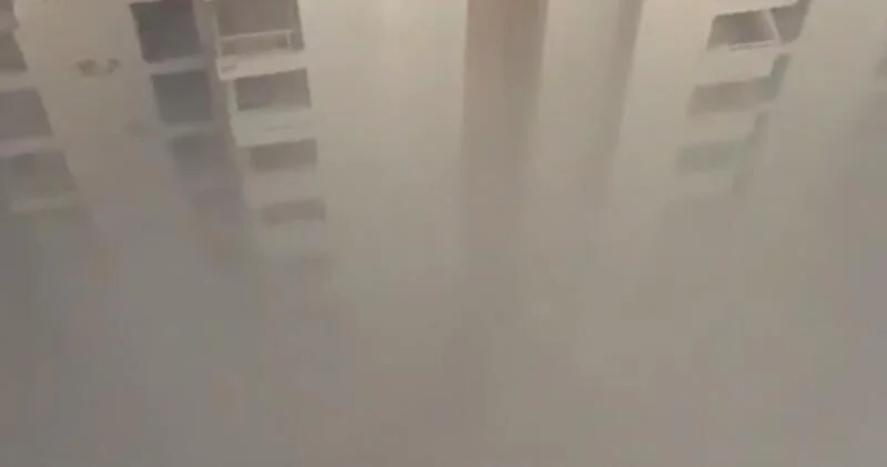 Токсичный смог накрыл Индию НОВЫЕ КАДРЫ