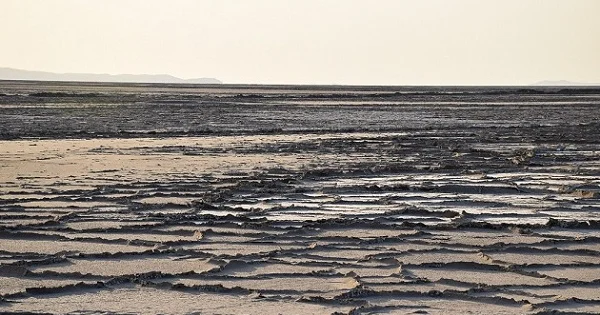 Urmiya gölünün bərpası mümkündür... Kaviyanpur