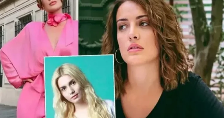 Türkiyədə əməliyyat: məşhurlar saxlanılıb