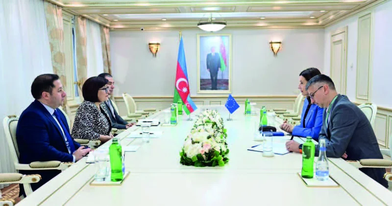 Avropa İttifaqı nümayəndəsi Milli Məclisdə