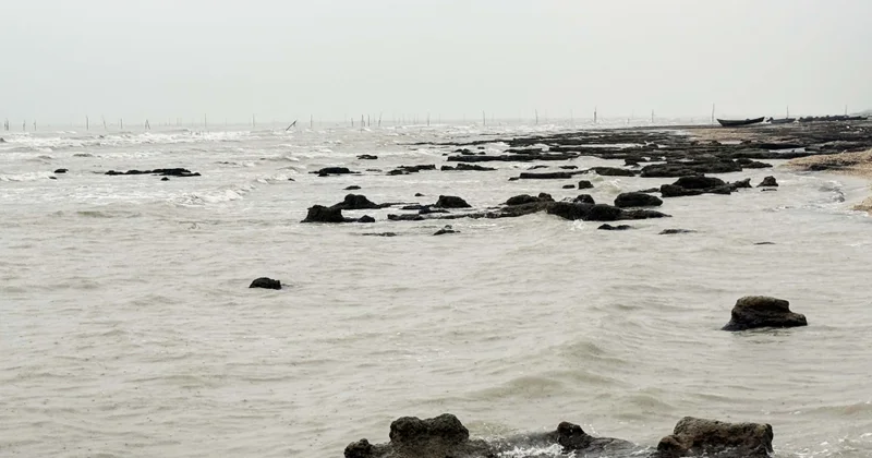 Xəzər dənizində sahilə yaxın ərazilərdə balıq ehtiyatı xeyli azalıb