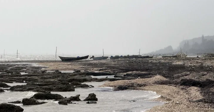 Обмеление Каспийского моря привело к потери морских обитателей