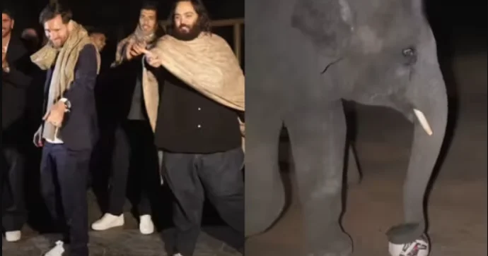 Fillər Messinin dostudur VİDEO