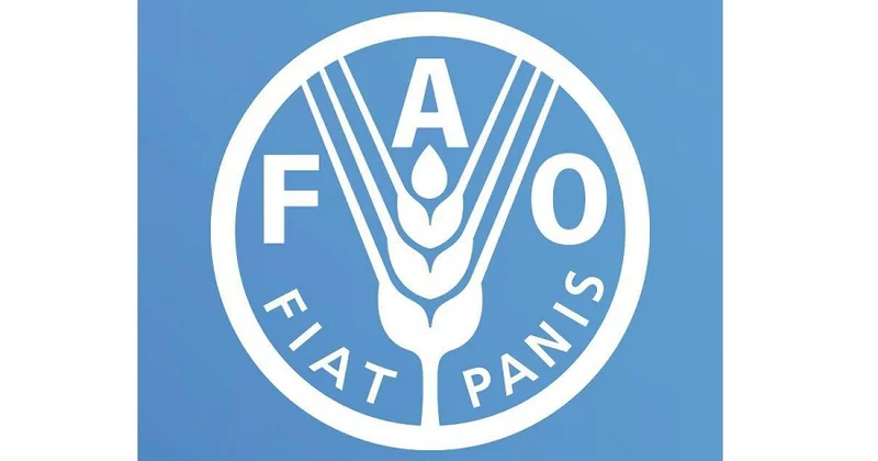 ФАО об основных направлениях сотрудничества с Узбекистаном на 2025 2027 годы (Эксклюзив)