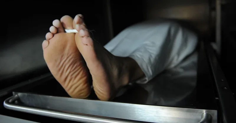 Harvard Universitetinin morqunda qalmaqal