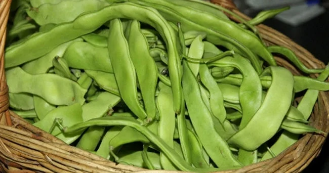Ürək həkimi və ya diabet həkimi deyilən lobyanın insan sağlamlığına hansı faydaları var? Video