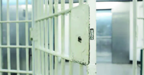 22 ilin ən geniş amnistiyası