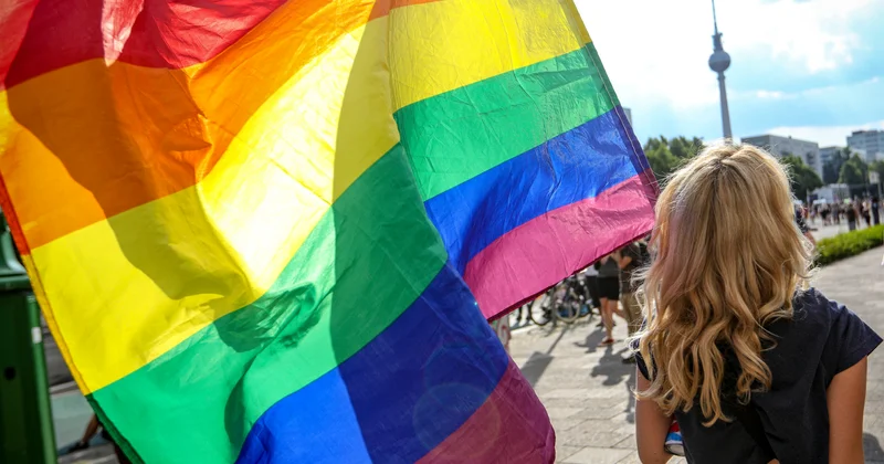 LGTB təbliğatı qadağan edildi