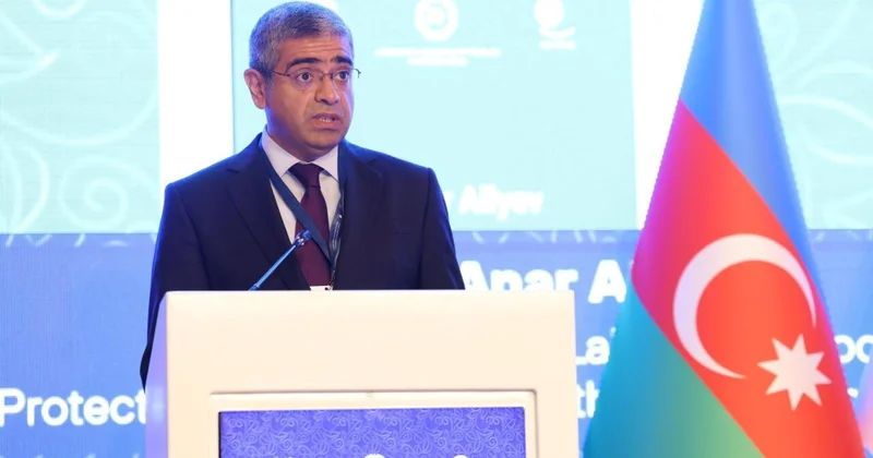 Анар Алиев о проекте "Поддержка занятости" в Азербайджане