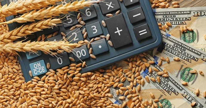 Bu il xaricdən 245 milyon dollarlıq buğda idxal edilib