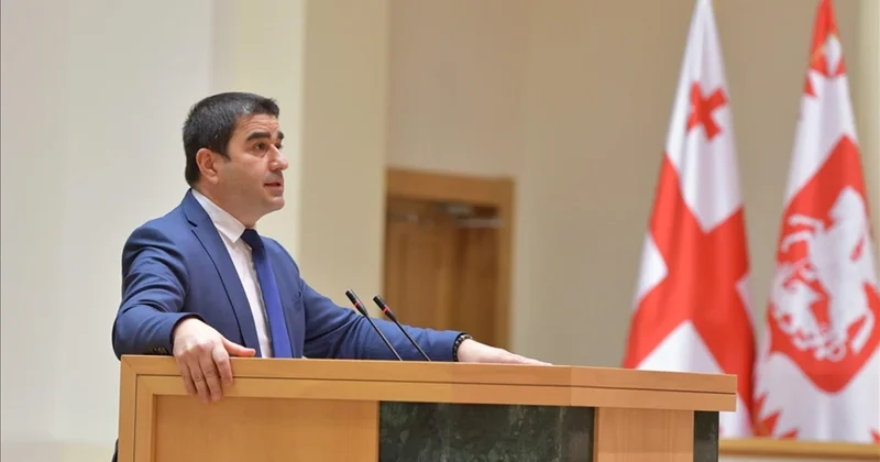 Грузия обвинила Зеленского в неблагодарности Minval Politika