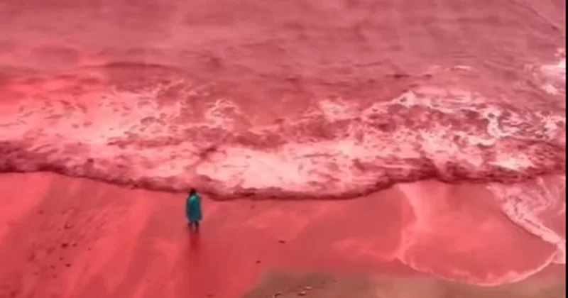 Güclü yağışdan sonra dəniz qırmızıya boyandı Video