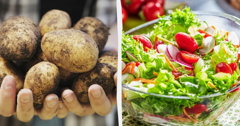 Dondurucu üçün qara siyahı : Orada heç vaxt saxlanılmaması lazım olan 10 məhsul