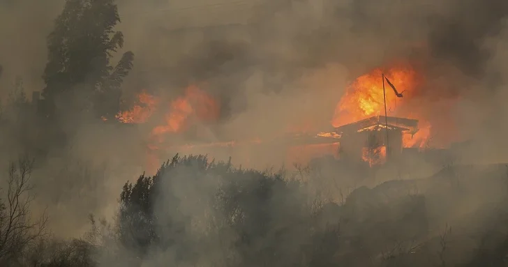 В Чили объявили чрезвычайное положение из за лесных пожаров