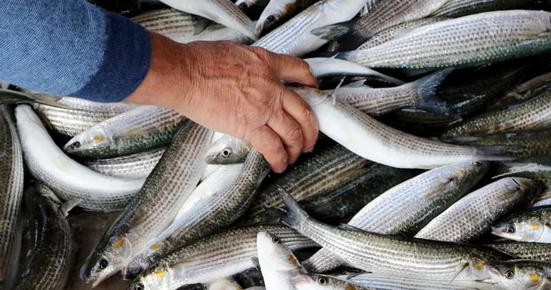 Спрос растет, а запасы тают