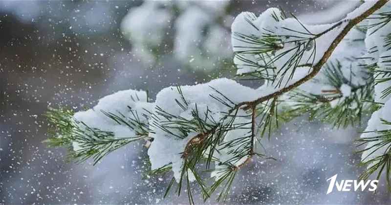На территории страны наблюдается дождливая погода, местами идет снег
