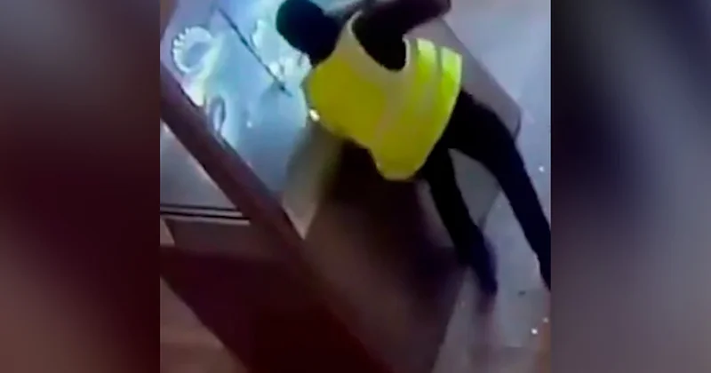 Luvrdakı oğurluqdan yeni kadrlar