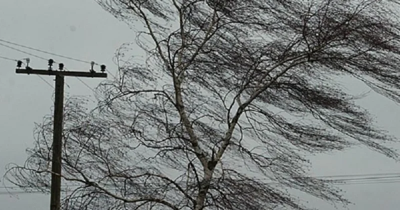 Sabah Azərbaycanda güclü külək əsəcək