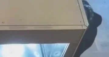 Кадры ограбления Лувра показали во Франции ВИДЕО