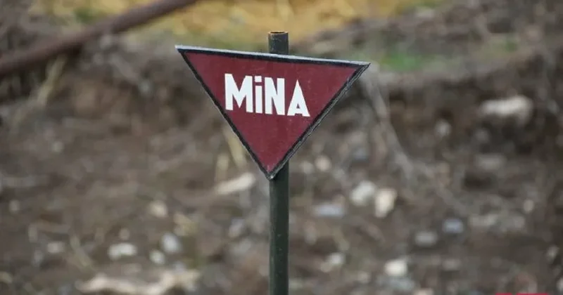 Ötən həftə 508 hektardan çox ərazi minalardan təmizlənib